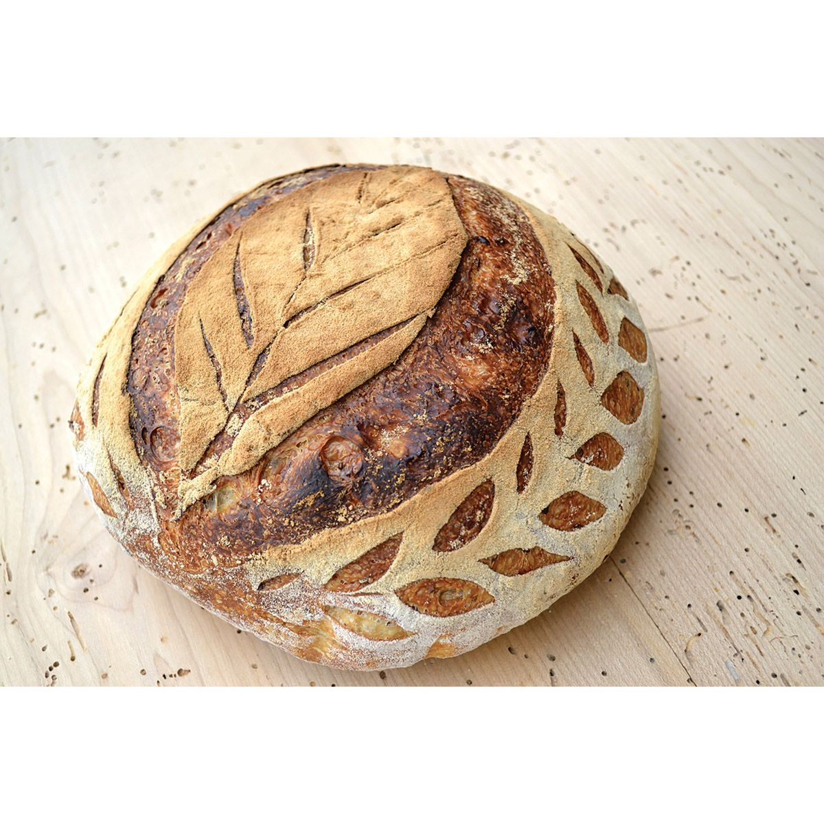 Mrs. Anderson's Baking Artisan 15 Blade Bread Lame