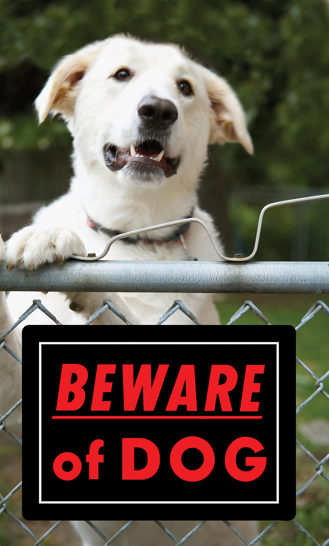 Hillman Beware of Dog Sign (10" x 14")