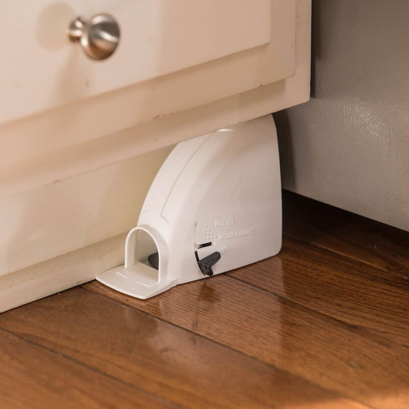 White plastic mouse trap placed on hardwood floor near a kitchen cabinet baseboard for pest control use