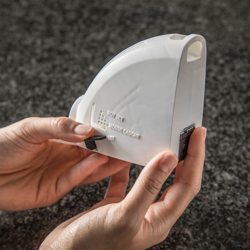 Hands holding a white plastic mouse trap with easy-view indicator for pest control in home improvement settings