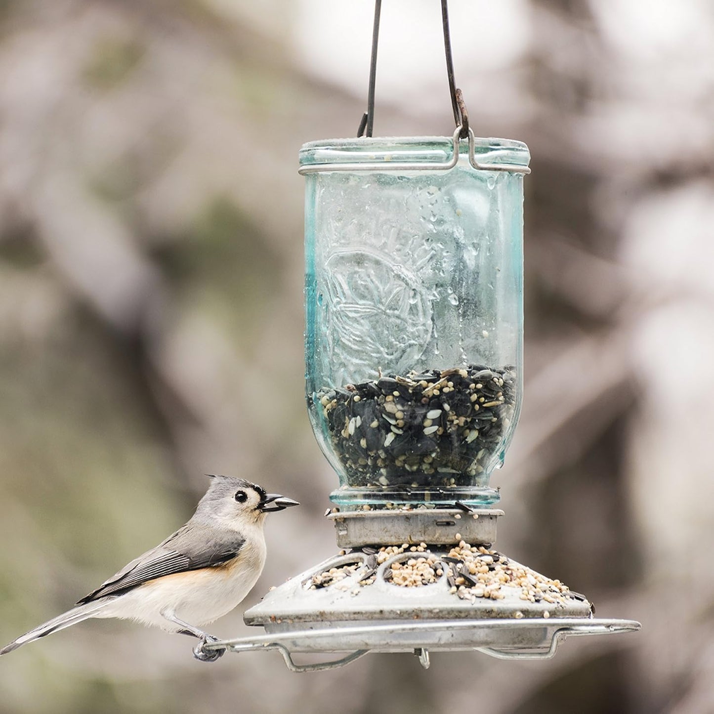 Perky-Pet Mason Blue Glass Mason Jar Bird Feeder, 8 in.