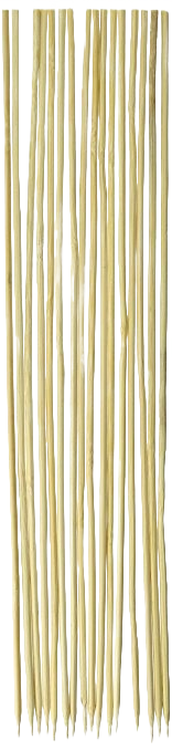 Bundle of slender bamboo skewers for grilling and appetizers in kitchen utensils and cooking tools collections