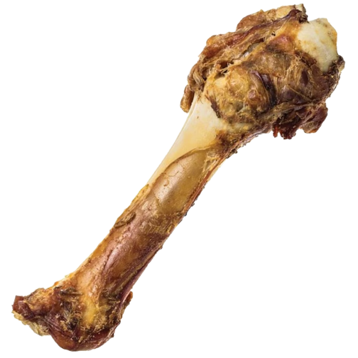 Natural long dog chew bone with textured surface and meaty appearance for pet enjoyment and dental health