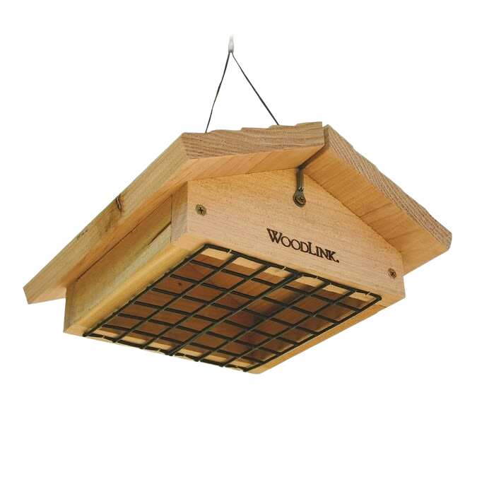 Wooden suet feeder with protective metal grid and hanging chain designed for attracting wild birds outdoors