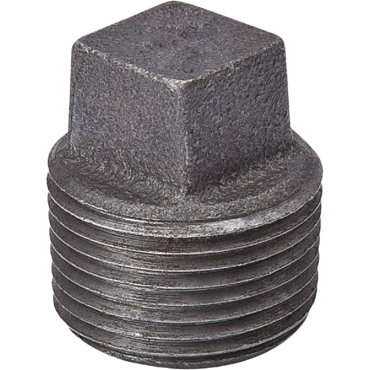 Malleable black iron pipe plug for plumbing and pipes & fittings collections under $50 and under $100 categories