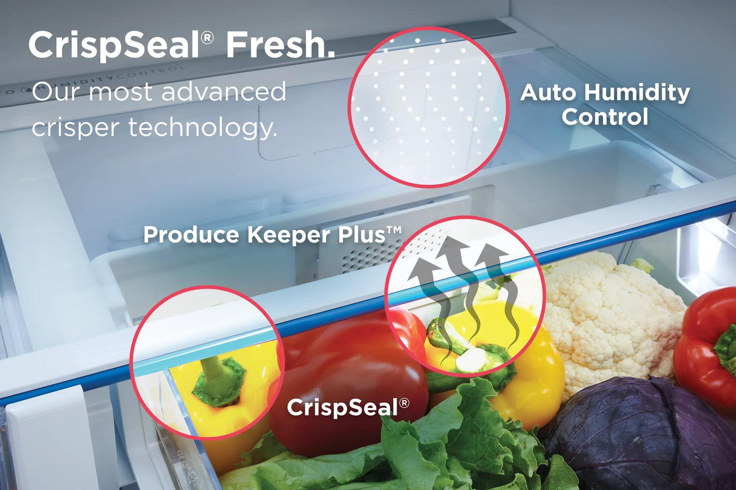 Close-up of refrigerator crisper drawer with fresh vegetables and highlighted moisture control features