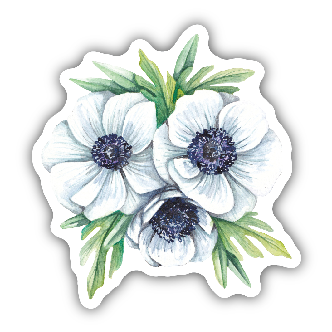 White anemone flowers with green leaves painted in watercolor style sticker for decorative use