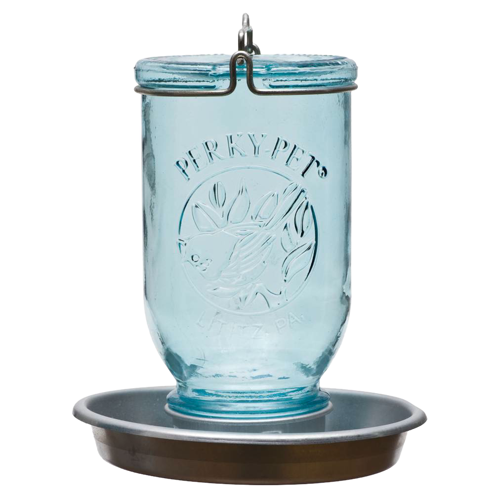 Light blue tinted glass bird waterer jar with metal base for outdoor bird feeding and wildlife supplies.