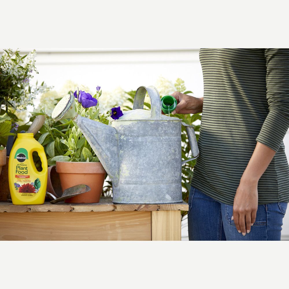 Person adding liquid plant food to galvanized metal watering can beside flowering potted plants in lawn and garden care setting