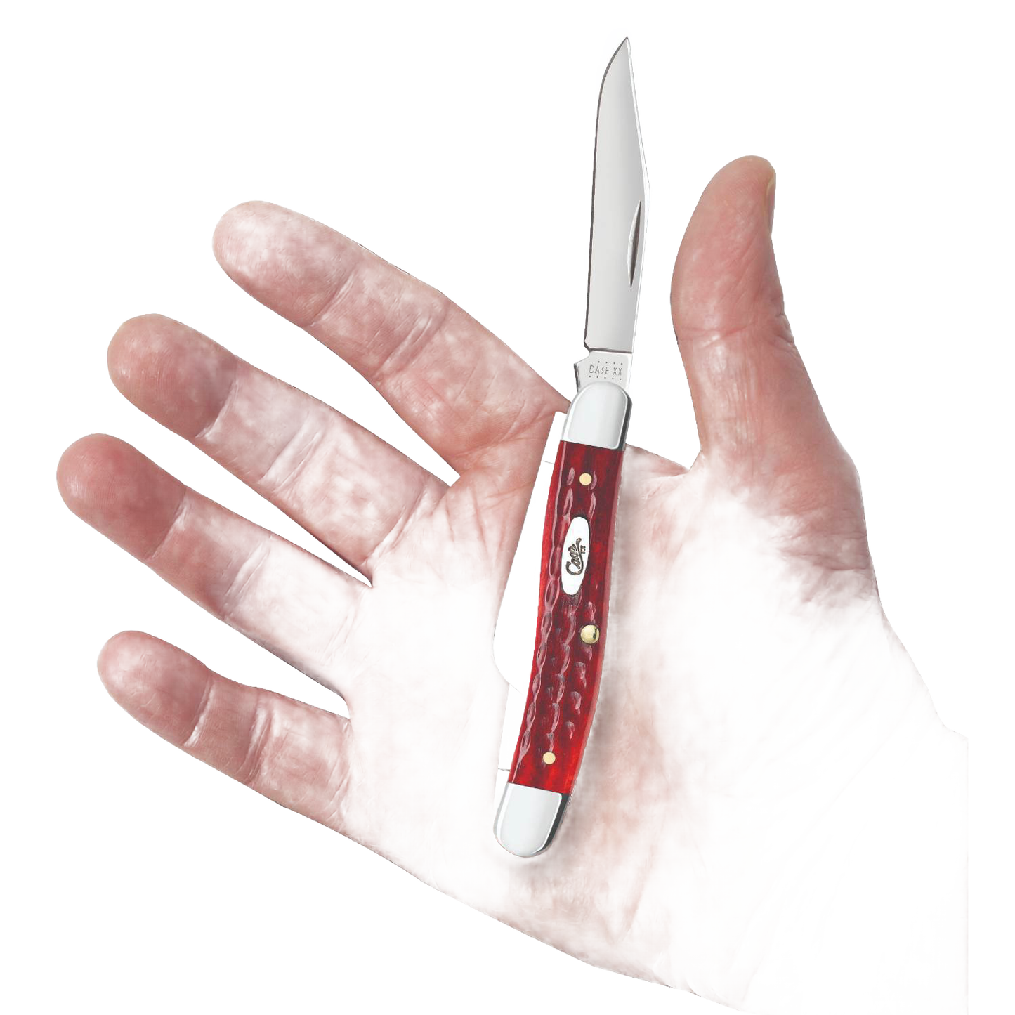 Small folding knife with Old Red Bone handle and stainless steel blade, part of woodworking and cutting tools collection