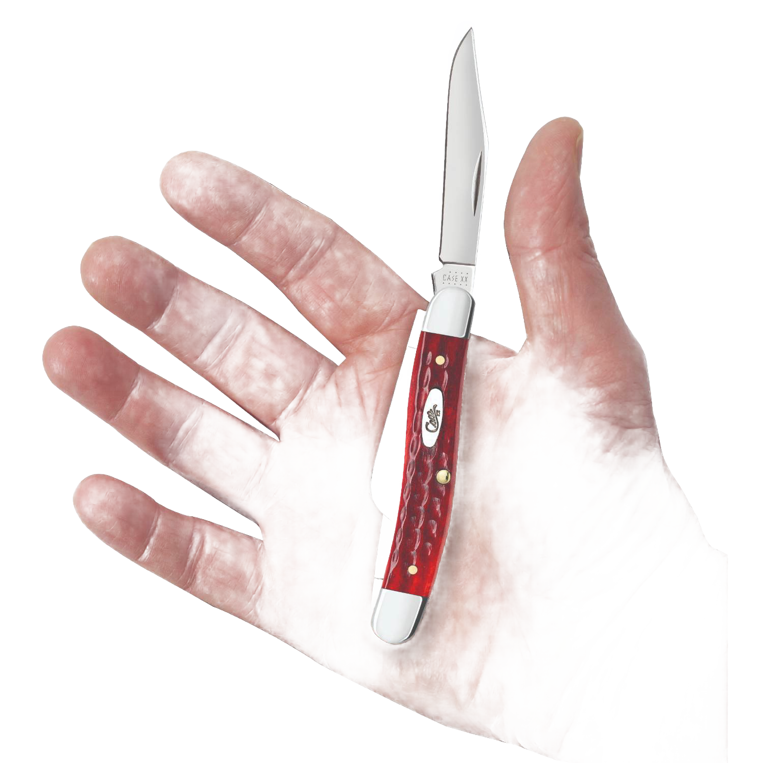 Small folding knife with Old Red Bone handle and stainless steel blade, part of woodworking and cutting tools collection