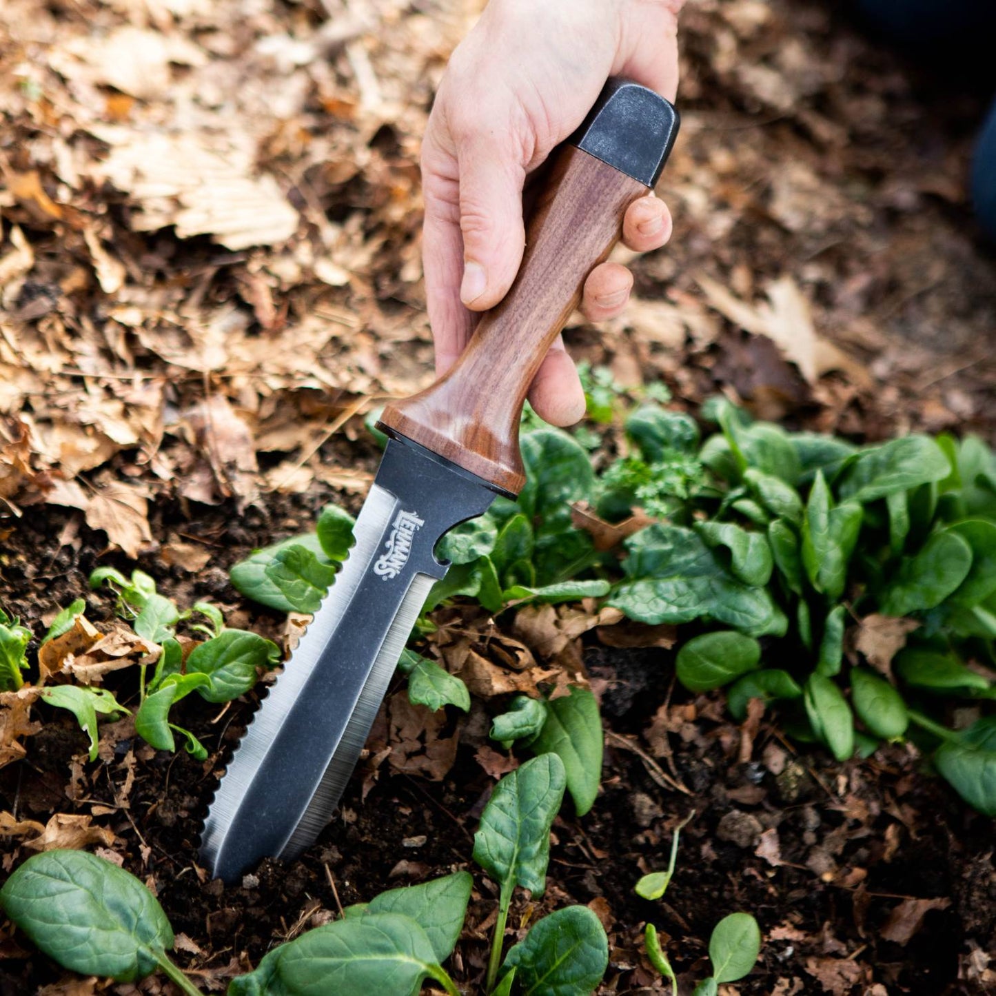 Hand tool with wooden handle and serrated steel blade used for gardening and outdoor tasks in Lawn and Garden Tools collection