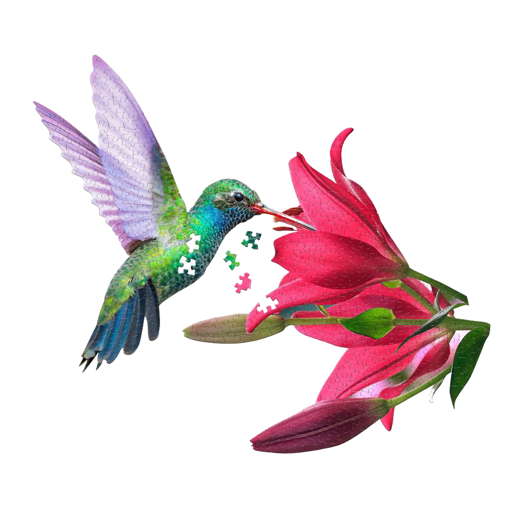Colorful shaped hummingbird jigsaw puzzle piece missing in Toys & Games, Puzzles, and Under $50 collections