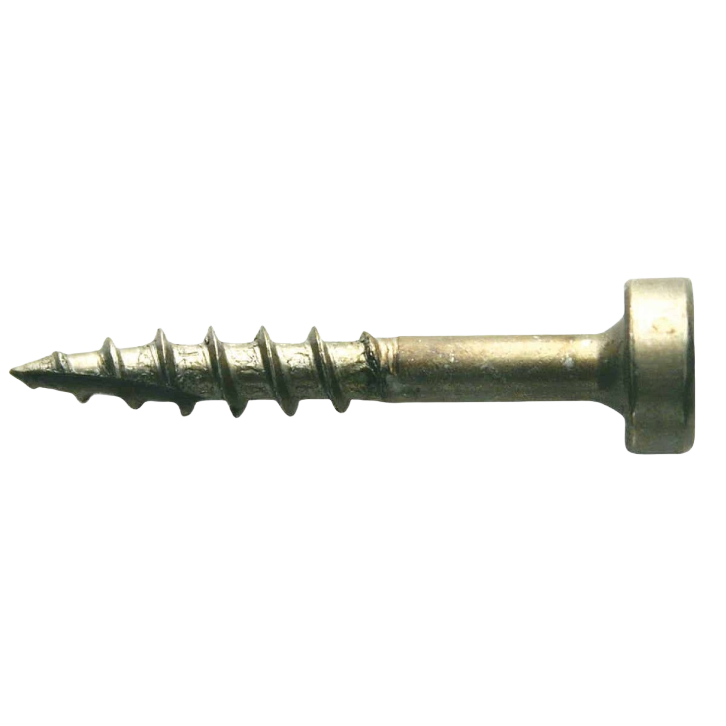 Close-up of a zinc-plated coarse threaded pan head screw for woodworking tool accessories and home improvement projects