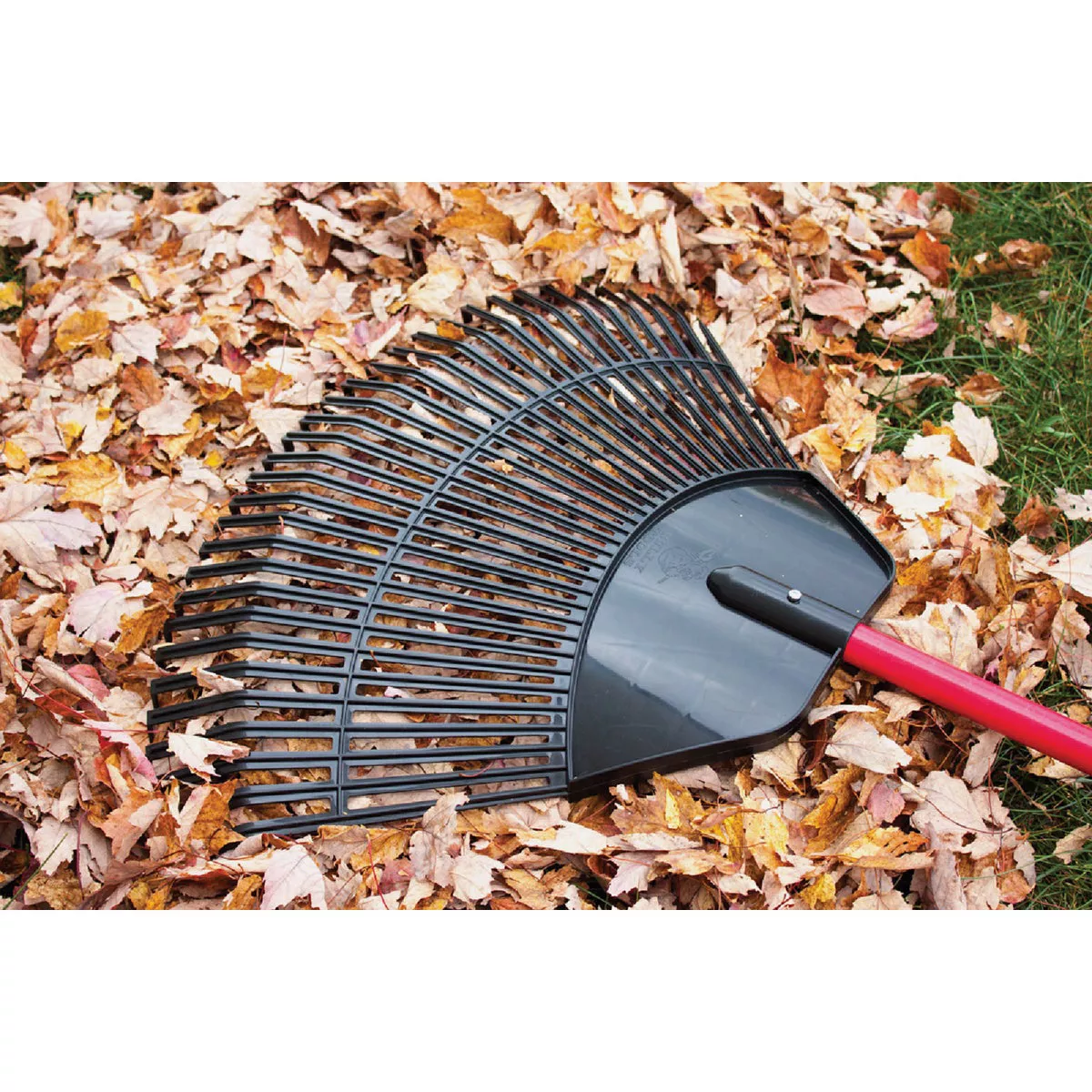Black polypropylene rake head with red fiberglass handle resting on fallen autumn leaves in garden tools and leaf collecting tools collections