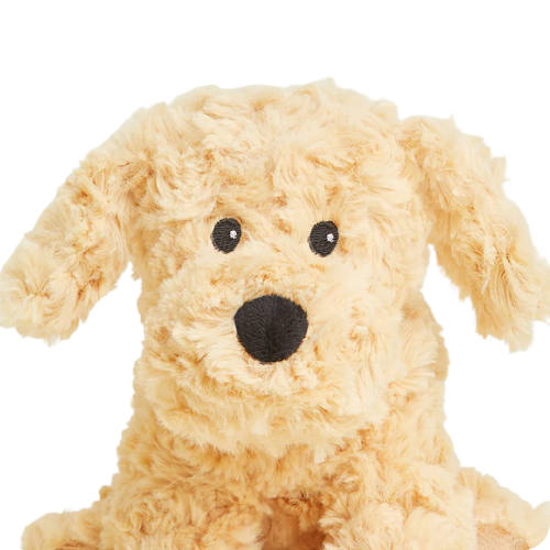 Plush golden microwavable dog with curly soft fur and black embroidered eyes and nose for comfort and warmth