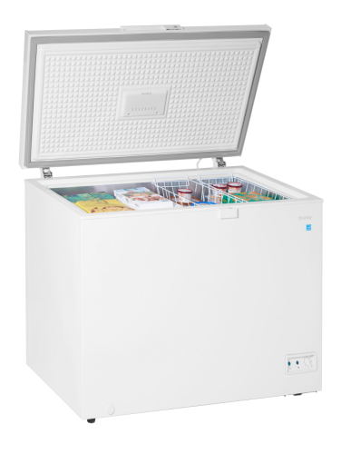 10 Cuft Chest Freezer, 2 Baskets, Up Front Temp Control, 5 Yr Warranty