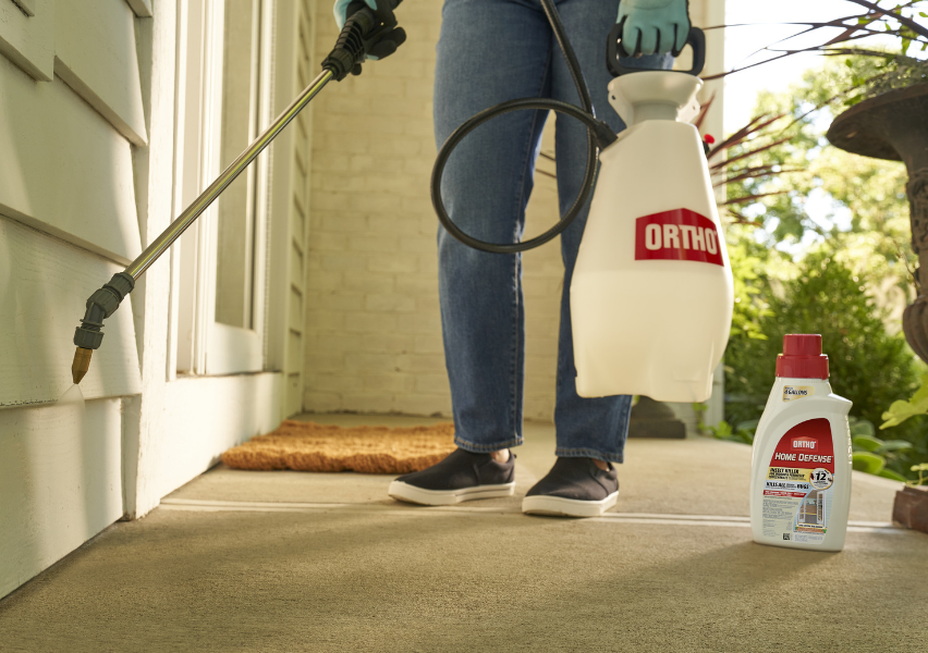 Ortho Home Defense Insect Killer for Indoor & Perimeter Concentrate, 32 oz.