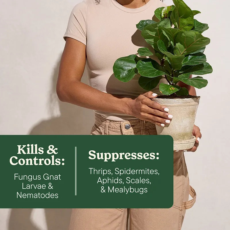 Miracle-Gro Plant Care Gnat Control + Plant Food