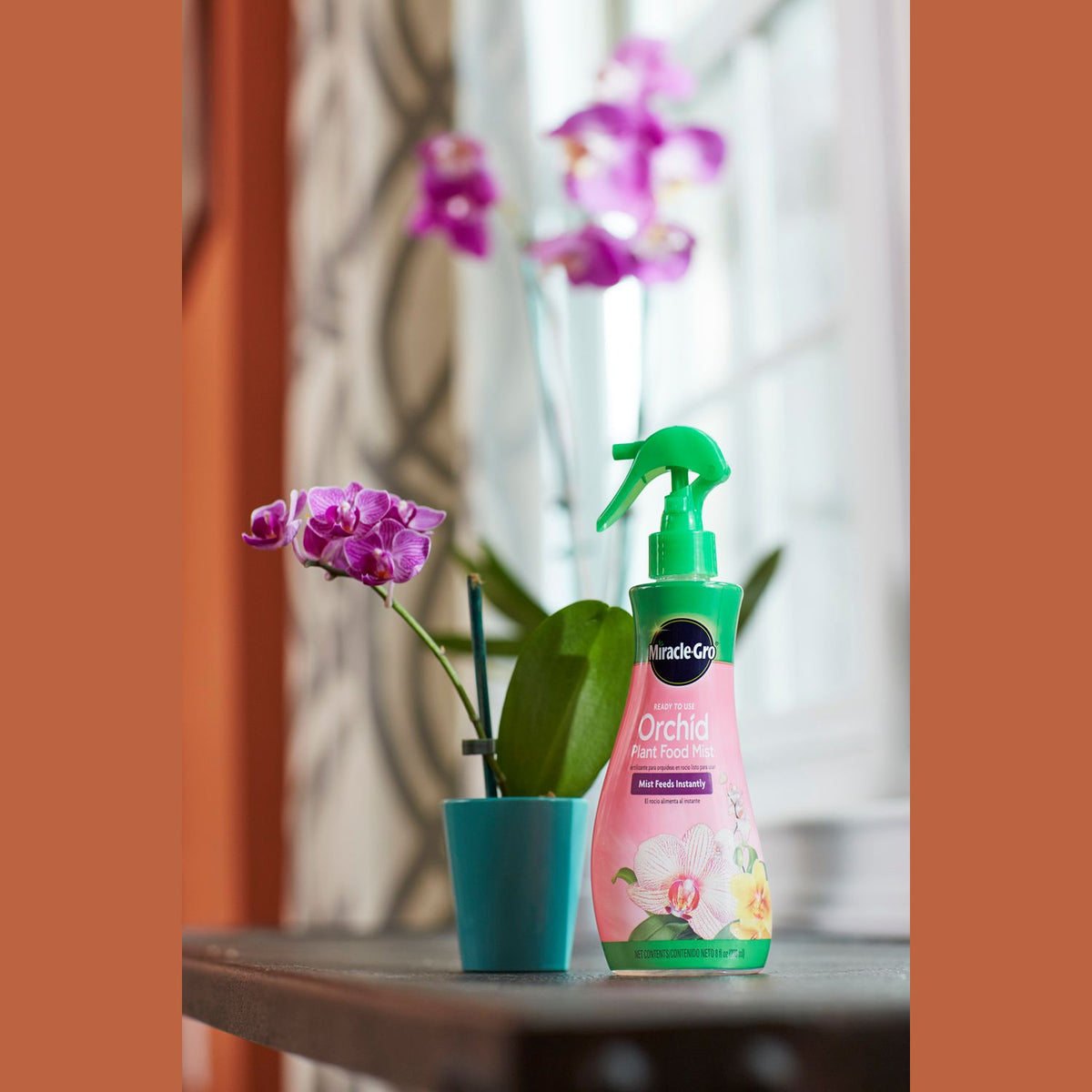 Pink and green orchid plant food spray bottle beside blooming orchid plant for plant care and fertilizer collections
