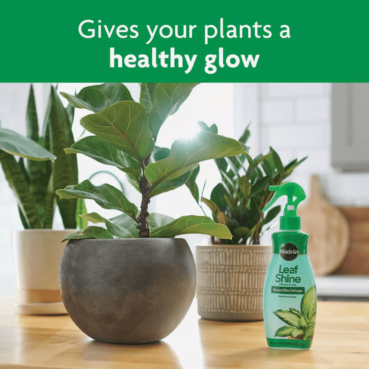 Miracle-Gro 8 Oz. Liquid Leaf Shine