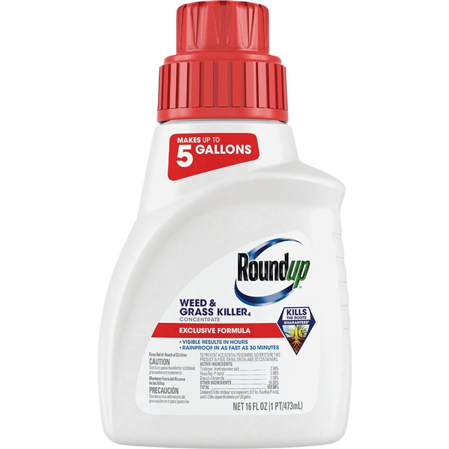 16 oz container of Roundup concentrate weed and grass killer with red cap for lawn care and garden maintenance
