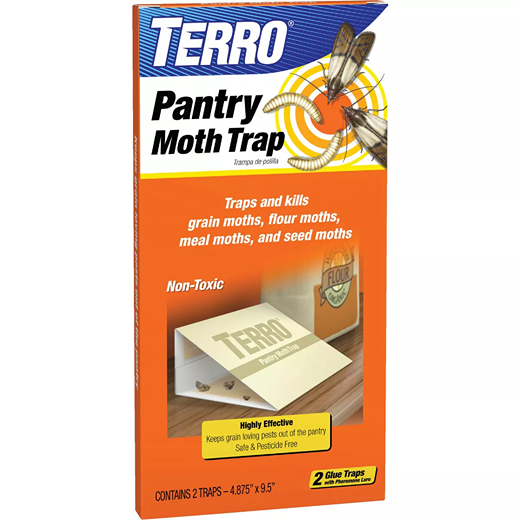 Orange and white Terro glue pantry moth trap box showing moths and larvae for insect and pest control collections