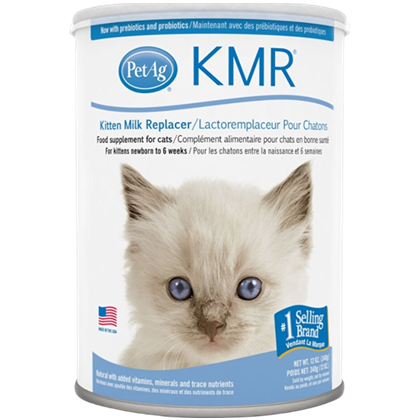 Container of Pet-Ag kitten milk replacer supplement with blue and white label featuring a photo of a gray kitten with blue eyes