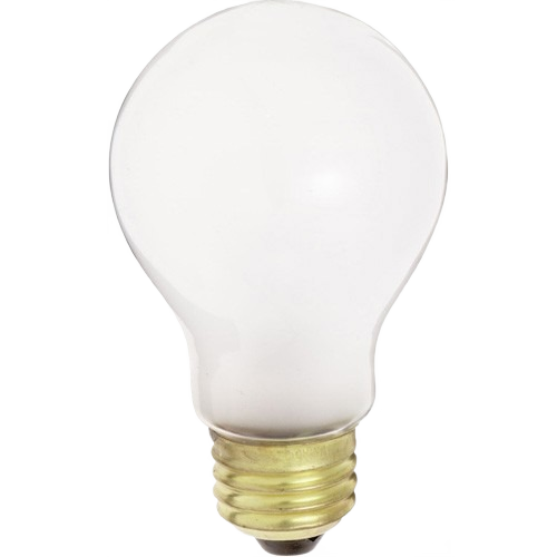 Frosted A19 incandescent light bulb with brass base for residential lighting and home improvement projects