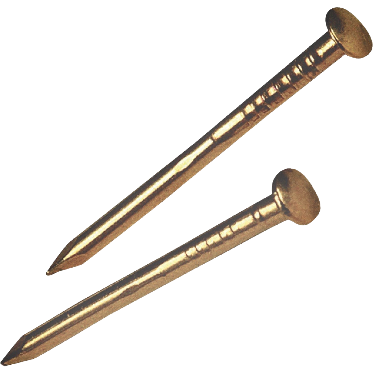 Two brass escutcheon pins with flat heads for woodworking and fasteners in hardware and home improvement collections