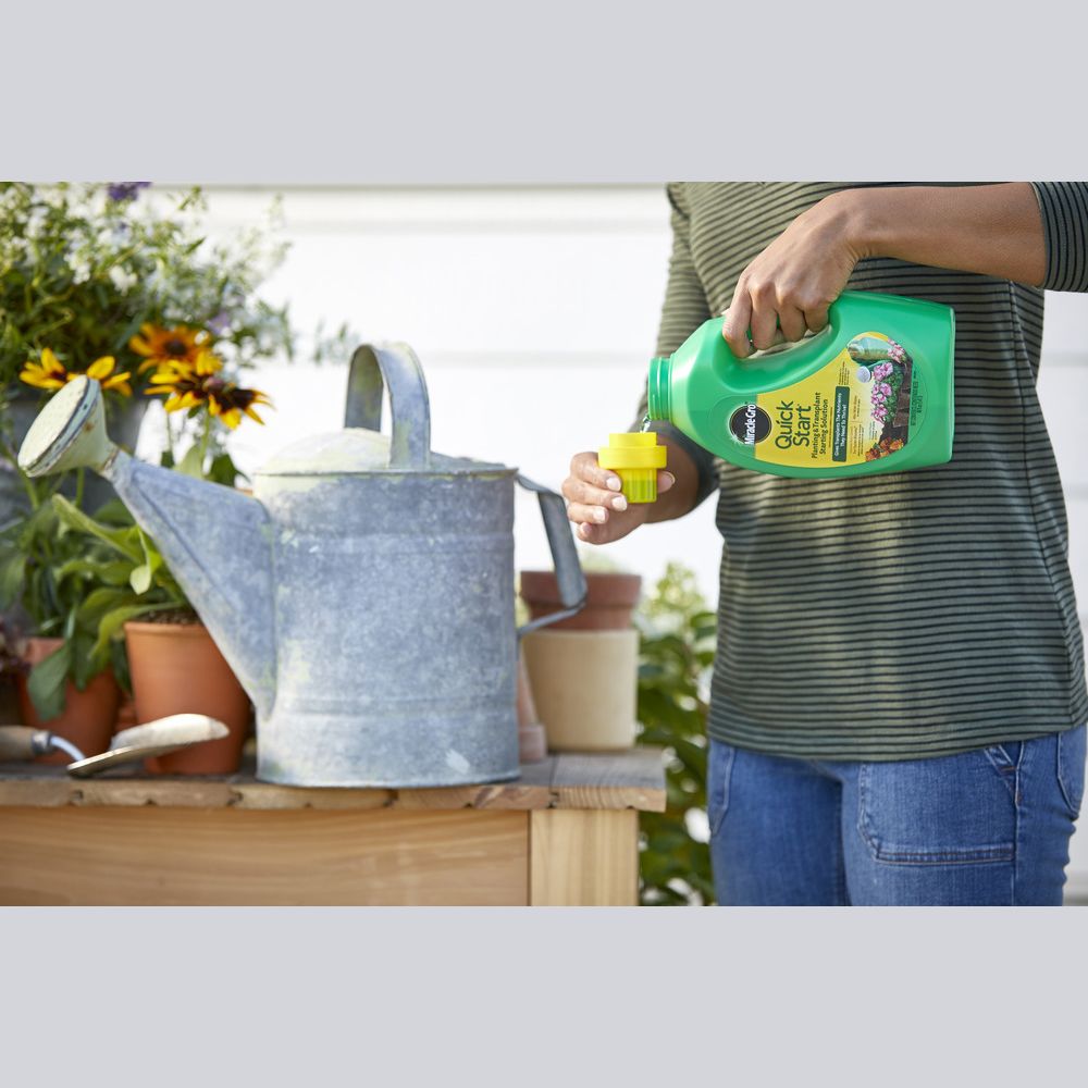 Person pouring Miracle-Gro Quick Start solution from green container near metal watering can in garden setting under $50 collections