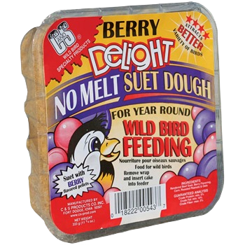 Rectangular block of berry-flavored no melt suet dough designed for wild bird feeding year-round