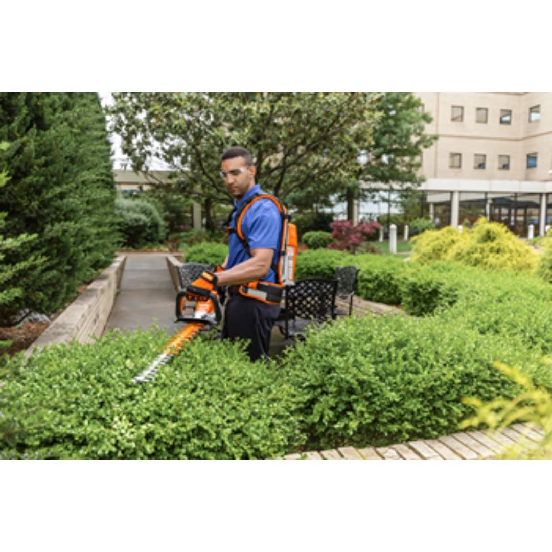 Man using STIHL battery hedge trimmer with backpack battery to trim dense green hedges in a landscaped garden area