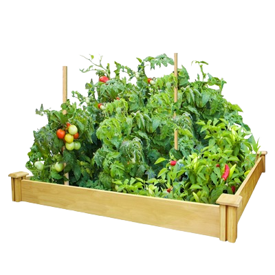 Miracle-Gro 4'x4' Raised Garden Kit – Durable Cedar Planter