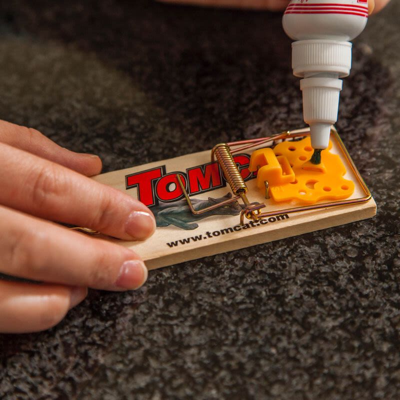 Applying green attractant gel onto yellow trigger pad of wooden snap mouse trap for pest control use