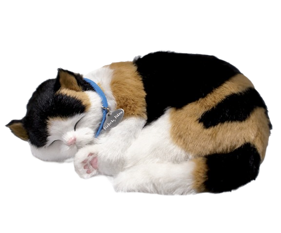 Realistic calico kitten figurine curled up with blue collar for home decor and gift purposes