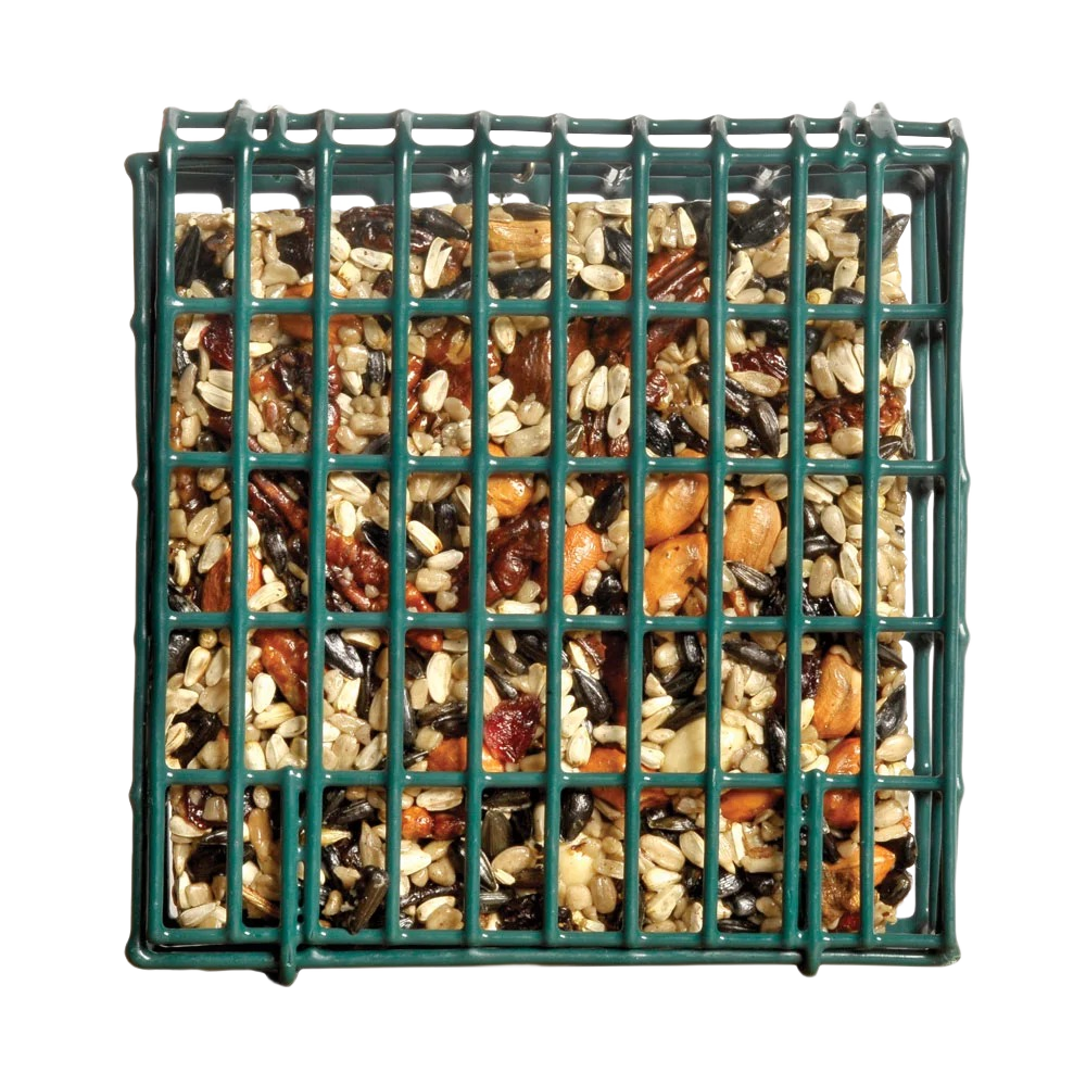 Green metal bird feeder cage filled with mixed seeds and nuts for attracting wild birds outdoors