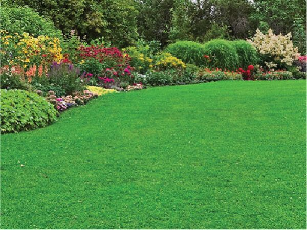 Home & Garden