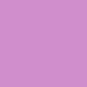 desert_blossom