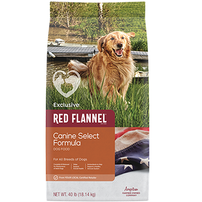 Brown dog standing outdoors near water behind bag of Exclusive Red Flannel Canine Select dry dog food