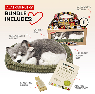 Lifelike Alaskan Husky plush with bed, grooming brush, collar, adoption certificate, and carrier box in toys and dolls collections under $100