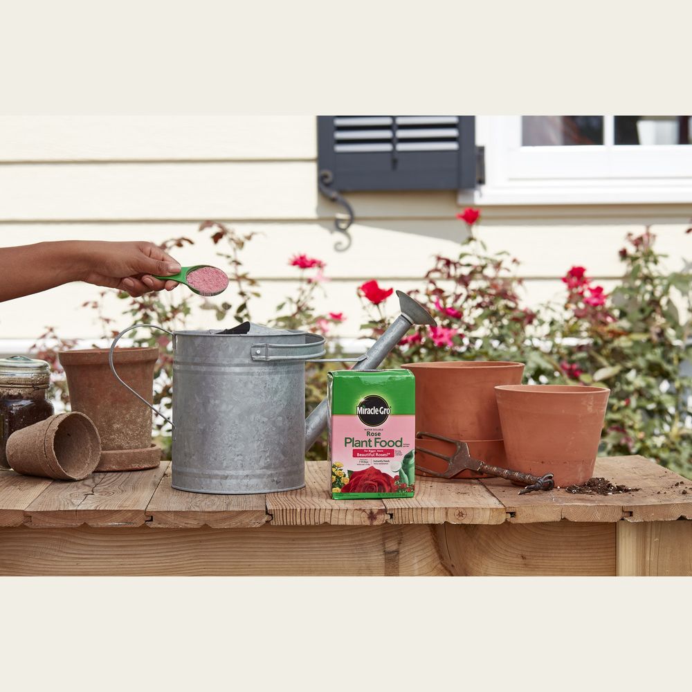 Miracle-Gro plant food box with gardening tools, soil, and terracotta pots on wooden table in garden setting