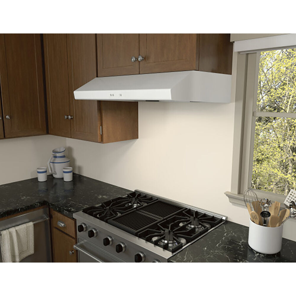Cyclone Under Cabinet Hood 30" LED