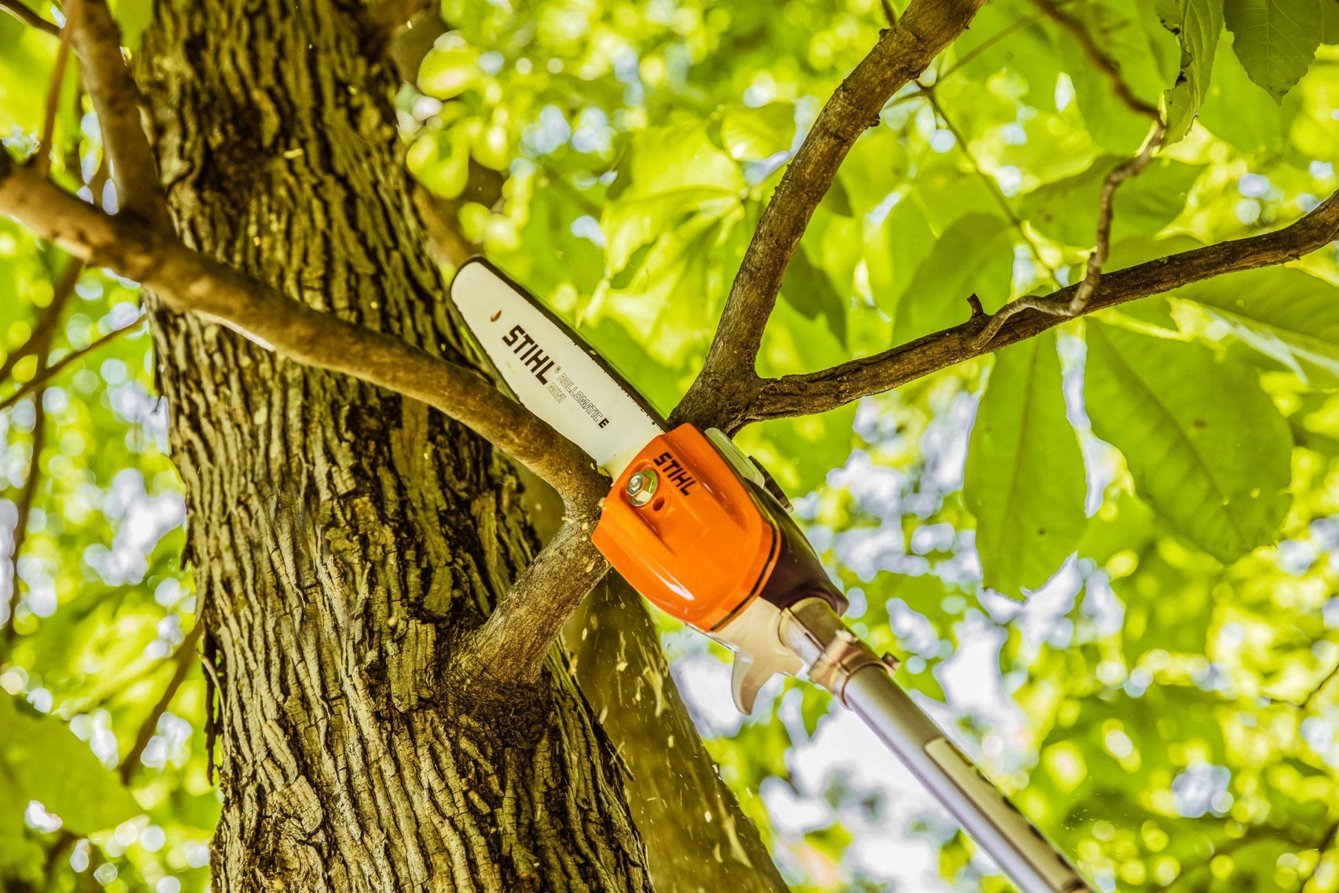 STIHL pole pruner attachment cutting a tree branch among bright green leaves for trimming and home improvement tools