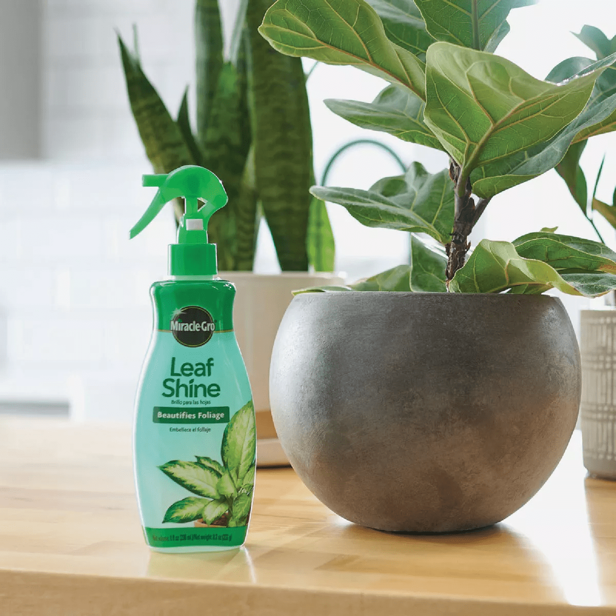 Miracle-Gro 8 Oz. Liquid Leaf Shine