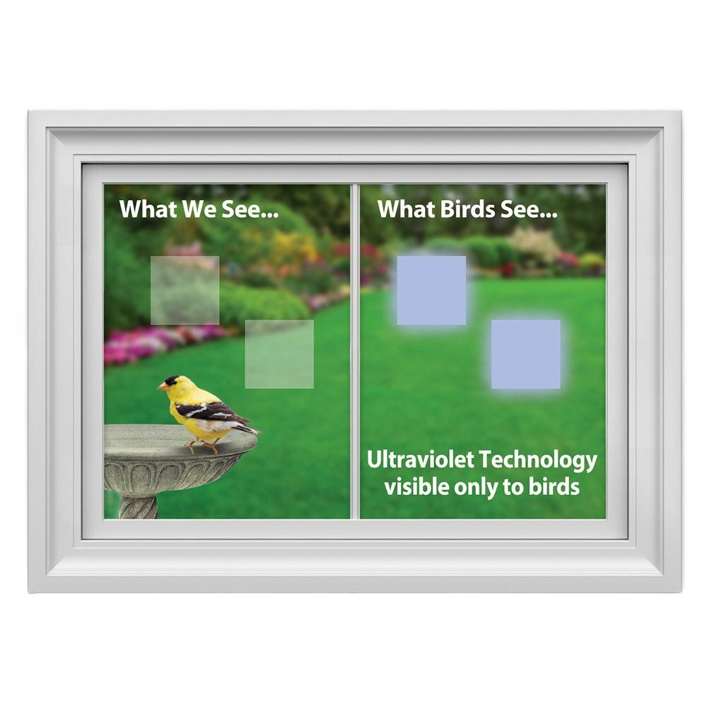 Window with two translucent squares showing ultraviolet bird-visible decals to prevent bird collisions in home improvement settings