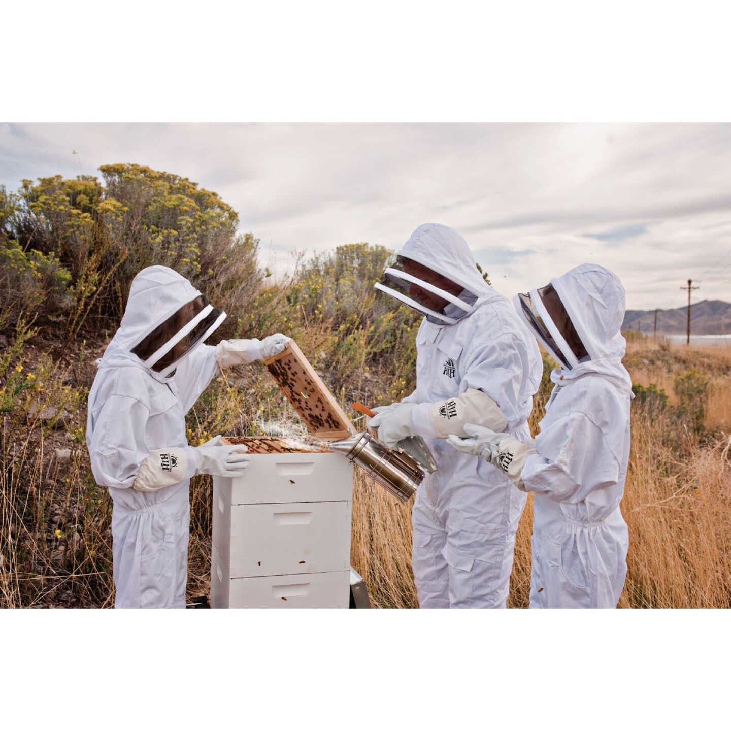 Three beekeepers in protective suits inspecting a wooden beehive outdoors near dry grass and shrubs
