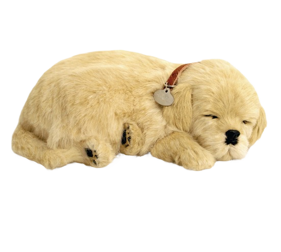 Realistic golden retriever puppy plush with soft fur and collar, posed in a sleeping position for comfort and decor