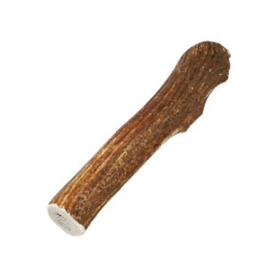 Natural elk antler dog chew treat in XL size for pets, part of dog food and pet supplies collections under $50