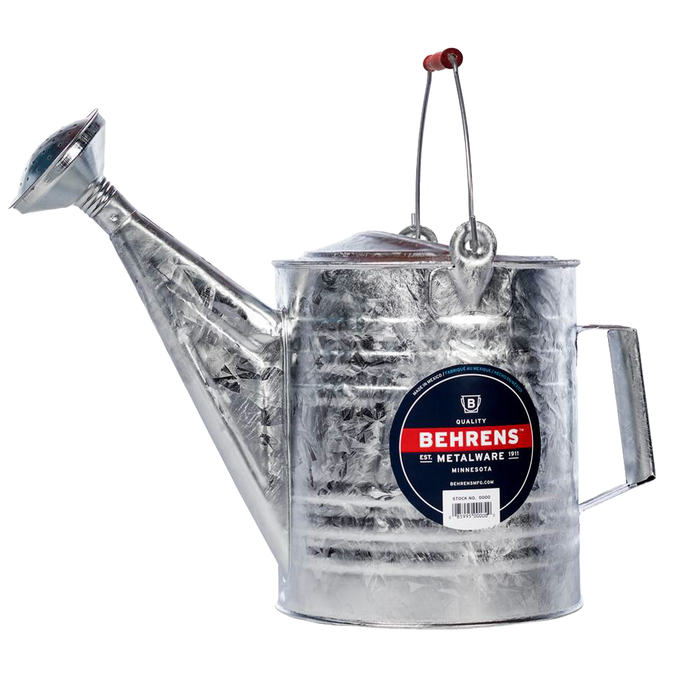 Galvanized steel watering can with top and back handles for easy grip, ideal for lawn and garden use under $50